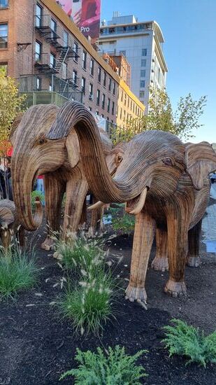 Wanderausstellung. Wunderschön!