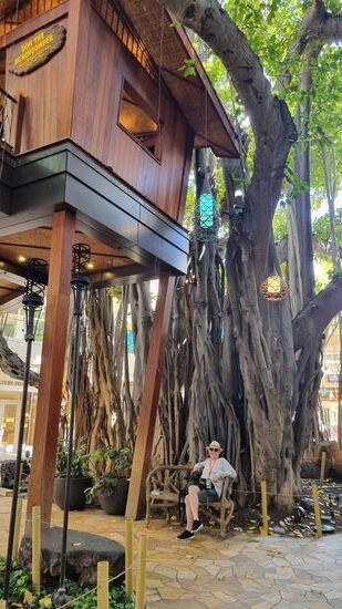 International Market Place