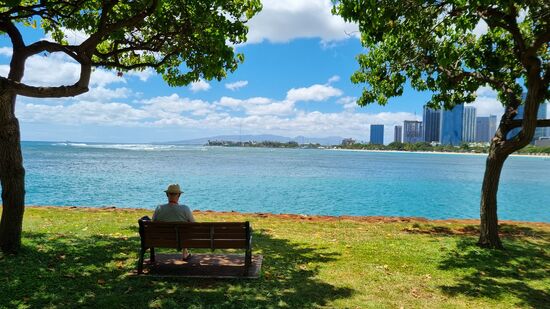 Paradies mitten in der Stadt!