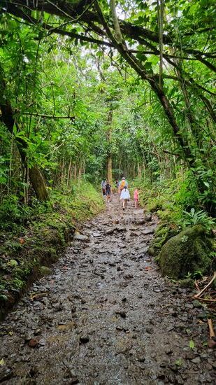 Nass, schlammig, steil und heiß
