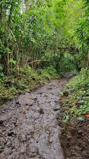 Matschige Rutschpartie...