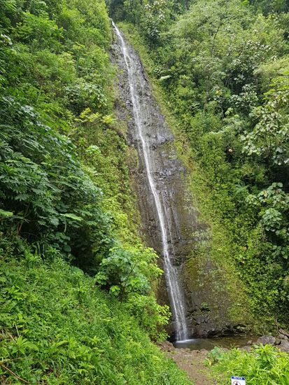 Manoa Falls