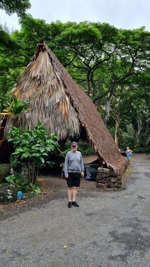 Im Botanischen Garten