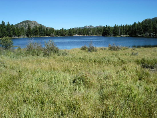 Noch ein Bear Lake, glitzernd in der Sonne