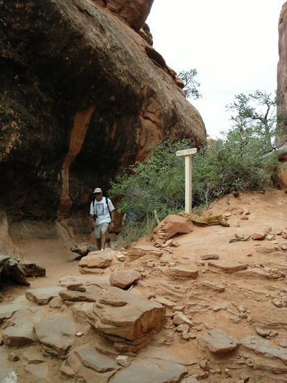 Wanderweg mit Hindernissen,...