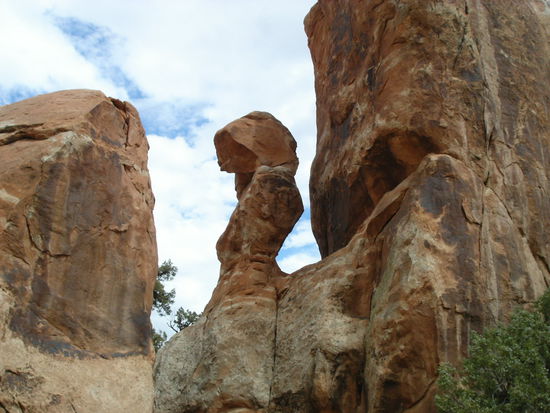 Die Natur schafft die schönsten Skulpturen