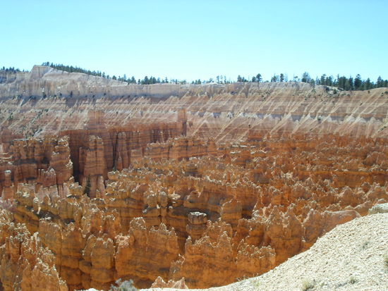 Aussicht vom Rim