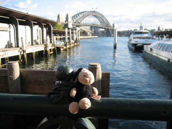 Sven, unser Reiseschaf, war auch mit dabei!