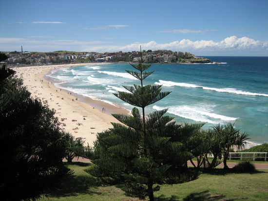 Bondi Beach
