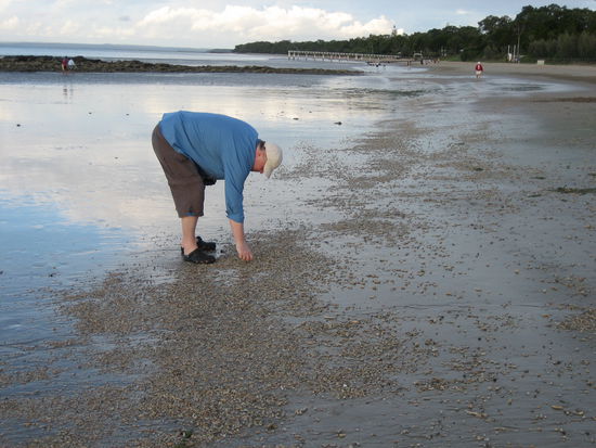 Doch eine Muschel gefunden...?