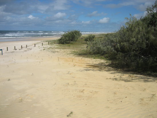 So schön und doch sooo gefährlich...