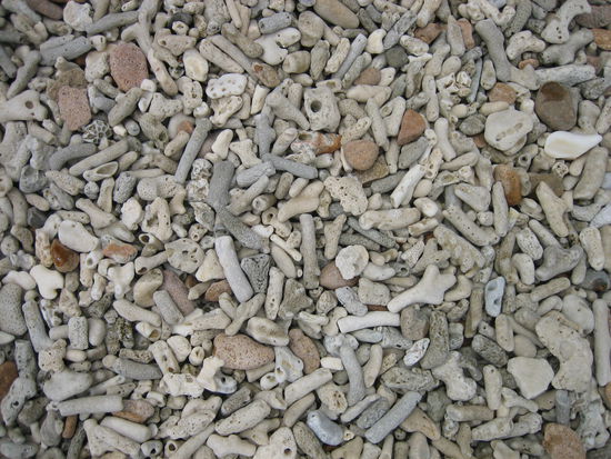 Der Korallenstrand bei Blue Pearl Bay