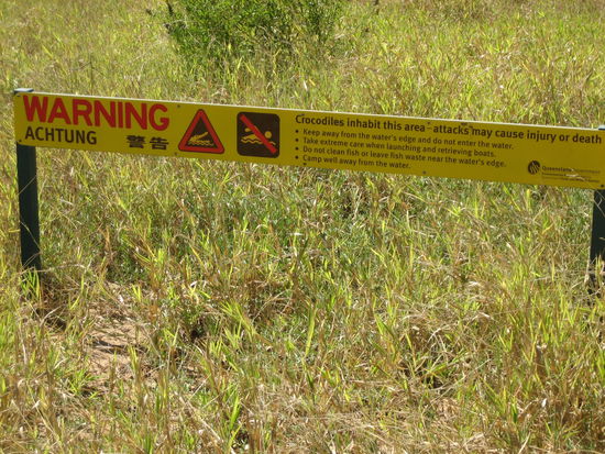 Krokodile im Fluss....