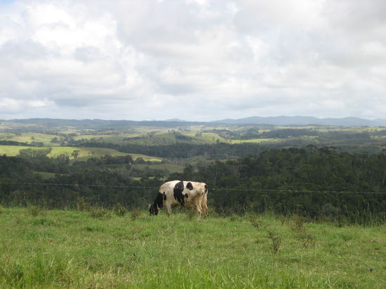 Fast wie in Deutschland!
