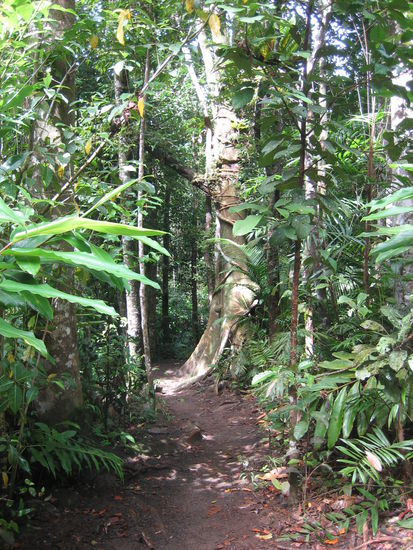 Der Weg zum ersten Wasserfall