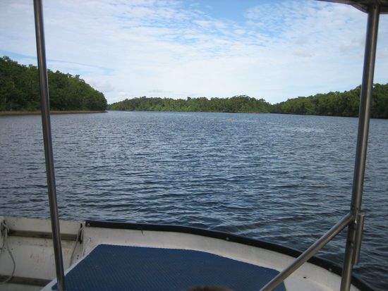 Bootsfahrt über den Daintree River
