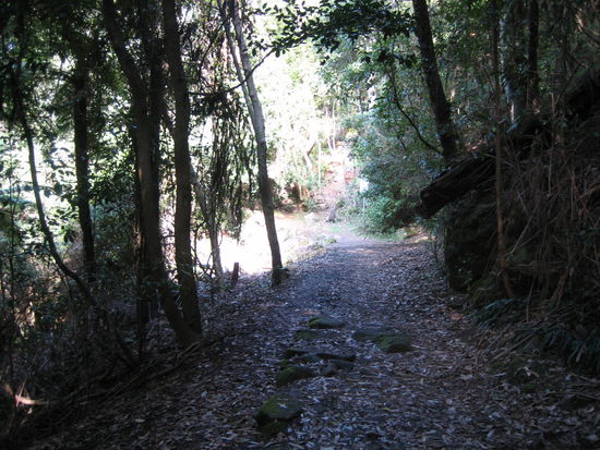 So harmlos fing der Weg an...