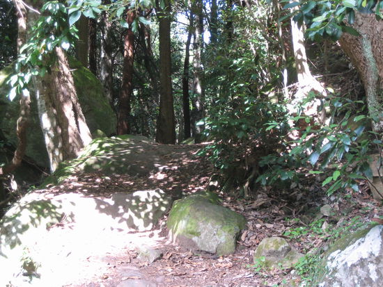 Dann kamen die kleinen Hürden...