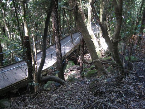 Zurück am beplankten Weg