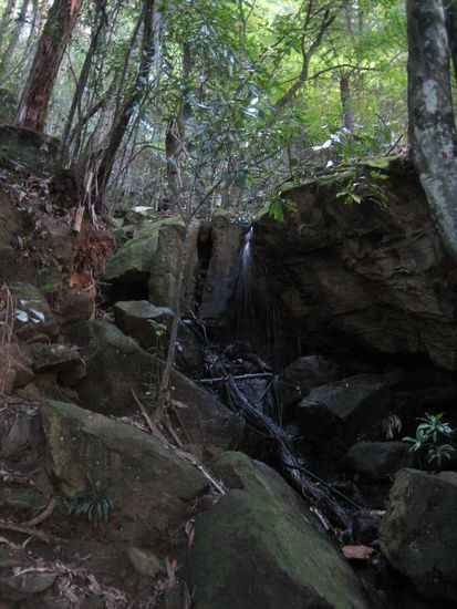 Und schließlich konnte man den Weg nur noch erahnen... Nicht wandern, klettern!!