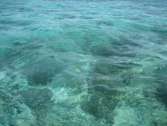 Die Korallenbänke schimmern durch