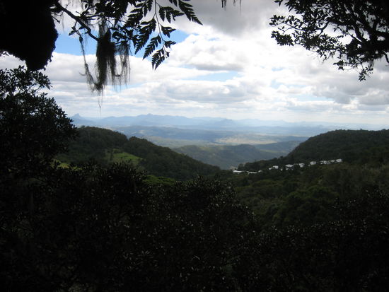 Aussicht von der Baumkrone aus