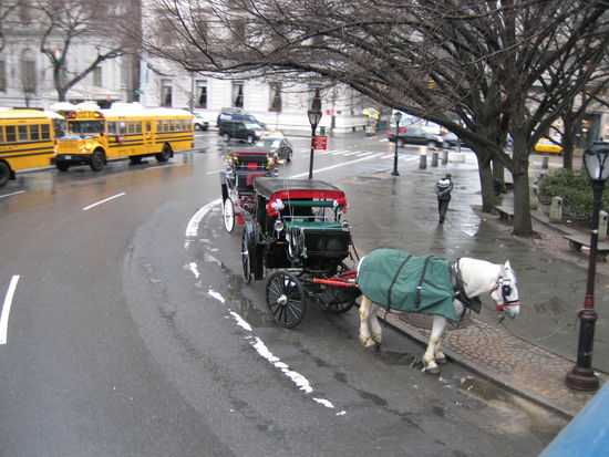 Kutschen am Central Park