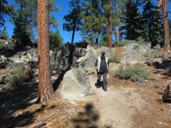 Gibt's hier Giftsumach?