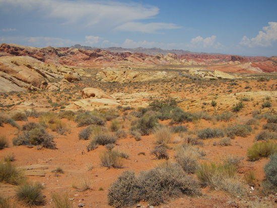 So schön und bunt kann die Wüste sein!!!
