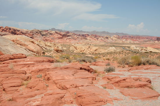 Da hat der liebe Gott mit Vanille-, Schoko- und Karamelpudding gespielt und das ganze ein paar Millionen Jahre trocknen lassen...