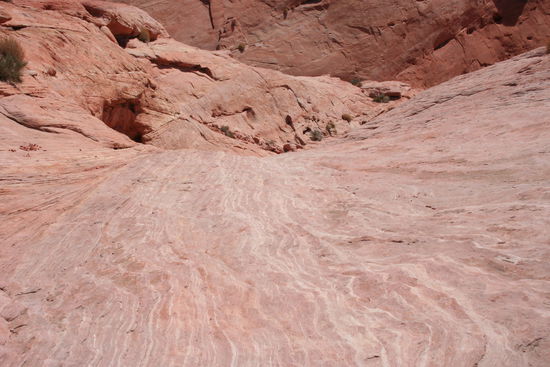 Sieht wirklich aus wie Feuer...