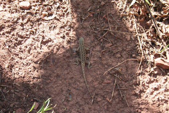 Der wohnt im Paradies...