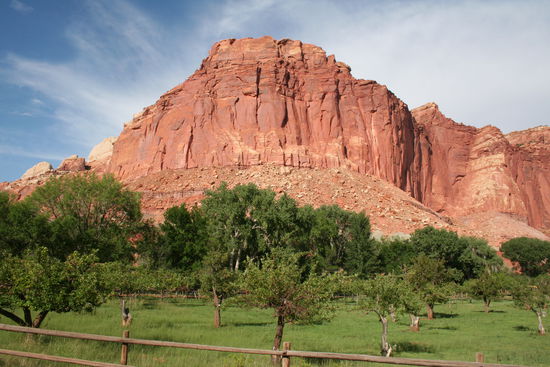 Obstgärten gibt es hier auch...