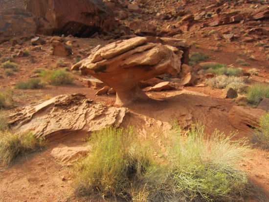 Warum der wohl nicht umfällt?