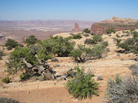 Canyonland National Park - Island in the Sky