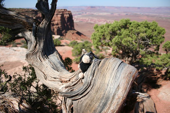 Sven fand's auch doof...