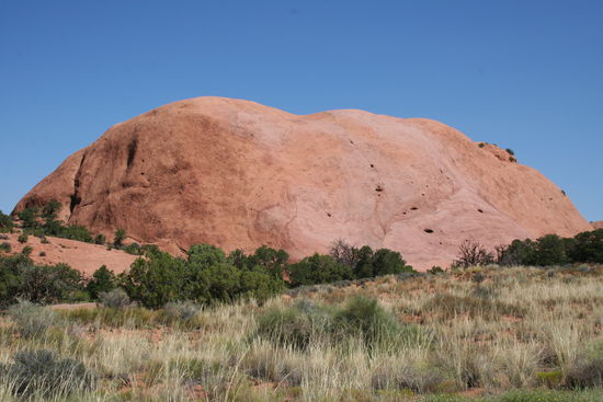 Whale Rock - sieht doch aus wie der Ayers Rock, oder?