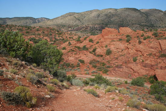 Tja, und wo geht's jetzt lang?