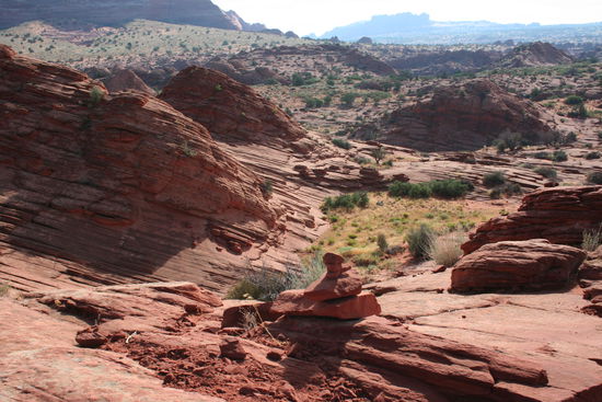 Doch noch auf dem richtigen Weg...