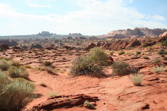 Hier sieht es doch wirklich überall gleich aus, oder?