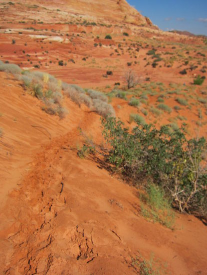 Puh, sehr anstrengend...!