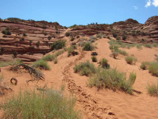 Es ist steiler als es hier aussieht...! Und da sollen wir noch hoch?!