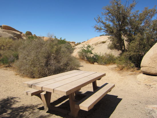 Zu heiß für ein Picknick