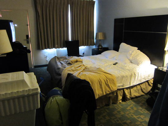 15.08.11-Wüstenhitze im Joshua Tree N.P.