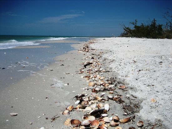 Wir träumen vom nächsten Urlaub...