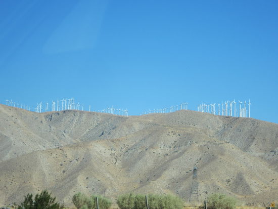 Windkraftanlagen bei Palm Springs - auch bekannt aus dem Film "Rain Man".