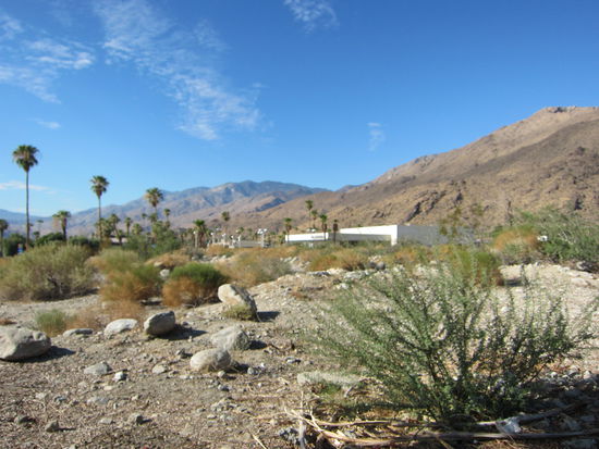 Auch die Wüste kann schön sein!