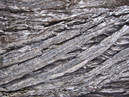 Ist Holz nicht wunderschön?!