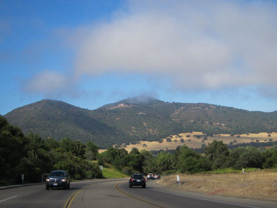 Gelbe Hügel mit grünen Tupfern...