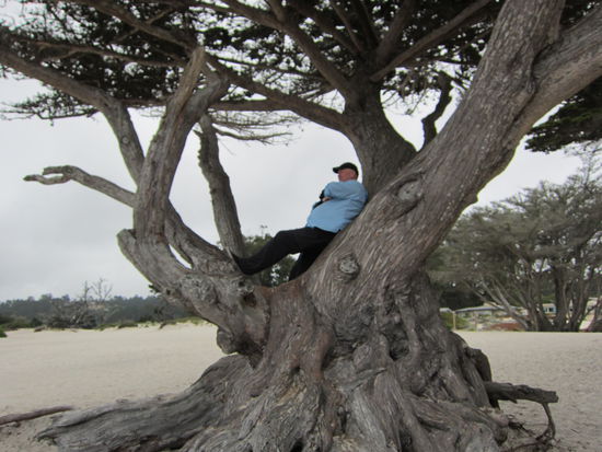 Ein schöner Baum mit einem perfekten Ausblick...